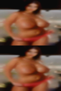Bronx swinger personals club.