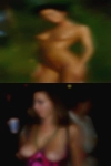 Swinger hotels